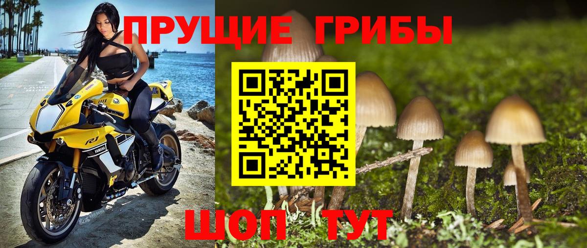 Галлюциногенные грибы мицелий Подольск