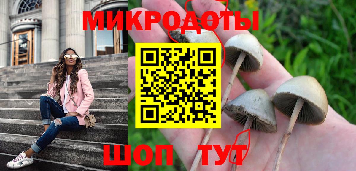 Галлюциногенные грибы Cubensis  Вход с VPN  Псилоцибиновые грибы мухоморы  цена   Подольск 